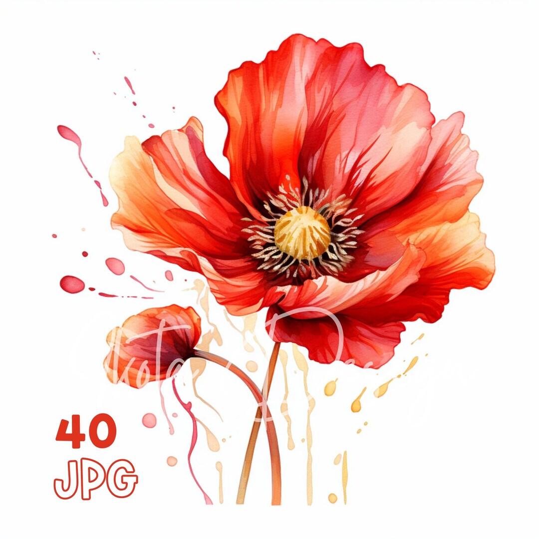 Alcohol Ink Poppy Decor Clipart - 40 High Quality Jpgs - Digital ...