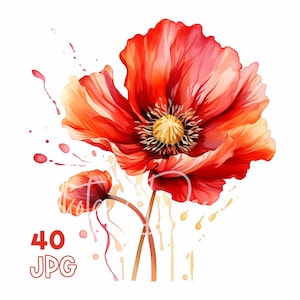 Alkohol Tinte Mohn Dekor Clipart - 40 hochwertige JPGs - Digitaler Planer, Junk Journaling, Aquarell, kommerzielle Nutzung, digitaler Download