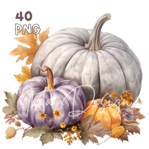 Lavendel Pompoenen Clipart - 40 PNGs van hoge kwaliteit - Digitale Planner, Junk Journaling, Aquarel, Commercieel Gebruik, Digitale Download, Mokken