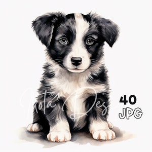 ボーダーコリーの子犬クリップアート - 40 高品質 JPG - デジタル プランナー、ジャンク ジャーナリング、水彩画、ウォール アート、商用利用、デジタル ダウンロード