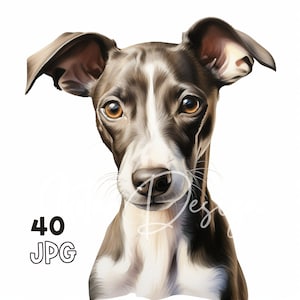 Whippet Puppy Clipart - 40 JPG de haute qualité - Planificateur numérique, Junk Journaling, Aquarelle, Utilisation commerciale, Téléchargement numérique, Tasses, Vêtements