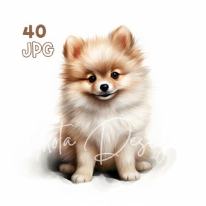 Pomeranian Puppy Clipart - 40 High Quality JPGs - Digital Planner, Junk Journaling, Watercolor, Wall Art, Commercial Use, Mugs, Apparel