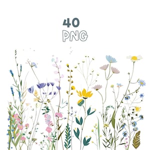 Wildflowers Border Clipart - 40 High Quality PNGs - Digital Planner, Junk Journaling, Watercolor, Wall Art, Commercial Use, Digital Download