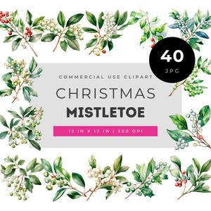 Christmas mistletoe clipart, watercolor greenery set, festive holiday leaves illustration, winter botanical png pack for invitations & craft