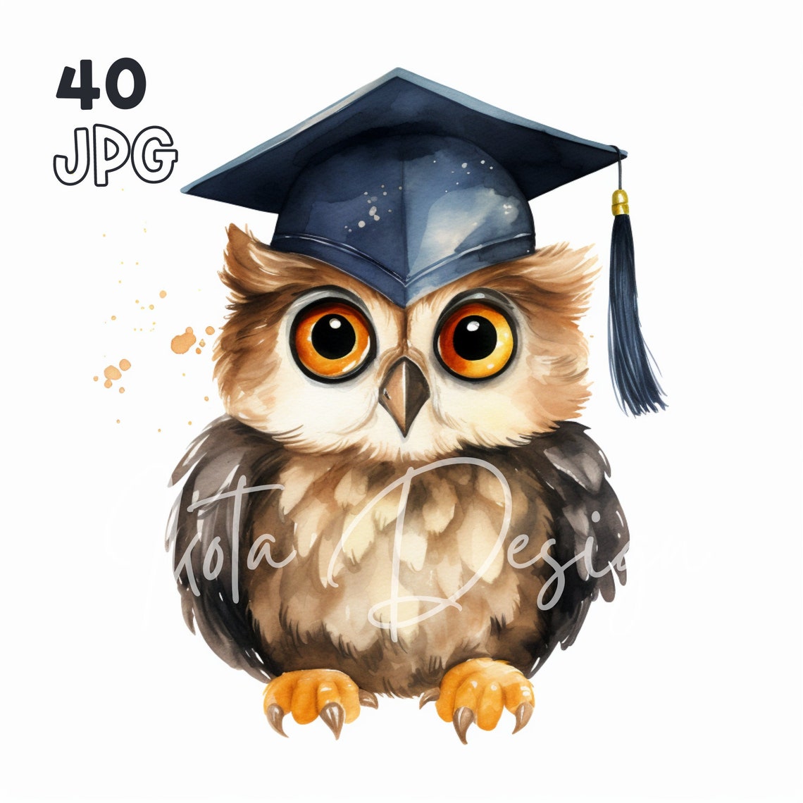 Graduation Owl Clipart Set, Cute Watercolor Graduate Owls With Caps ...