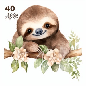 Schattige schattige luiaard clipart - 40 hoge kwaliteit JPG's - digitale planner, junk journaling, aquarel, commercieel gebruik, digitale download