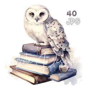 White Owl on Books Clipart - 40 JPG de haute qualité - Planificateur numérique, Junk Journaling, Aquarelle, Wall Art, Utilisation commerciale, Téléchargement numérique