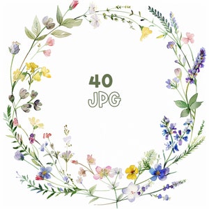 Wildblumen Clipart - 40 hochwertige JPGs - Digitaler Planer, Junk Journaling, Aquarell, kommerzielle Nutzung, Digitaler Download, Tassen, Bekleidung