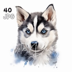 Husky Puppy Clipart - 40 JPG de haute qualité - Planificateur numérique, Junk Journaling, Aquarelle, Utilisation commerciale, Téléchargement numérique, Tasses, Vêtements