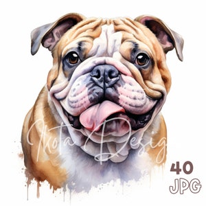 Bulldog Clipart - 40 High Quality JPGs - Digital Planner, Junk Journaling, Watercolor, Wall Art, Commercial Use, Digital Download, Mugs