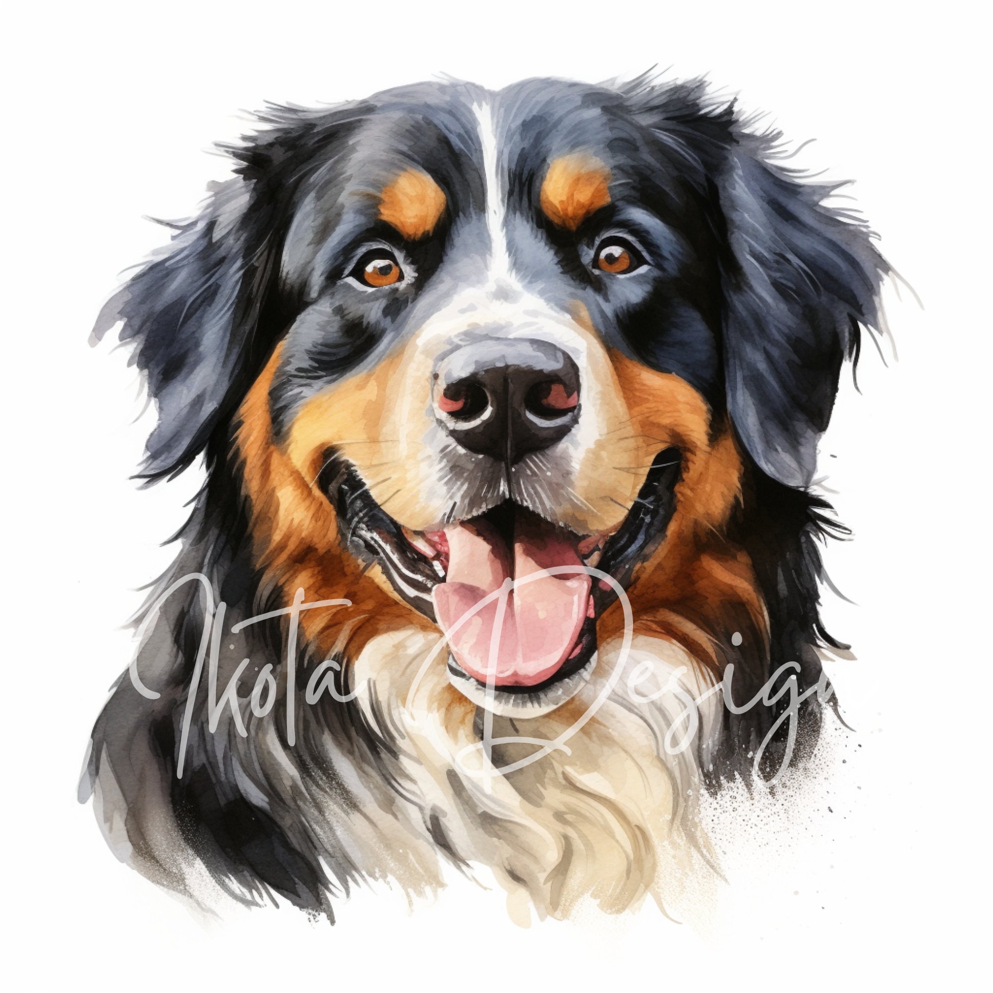 バーニーズ・マウンテン・ドッグの水彩画イラスト、バーニーズ