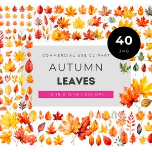 Autumn Leaves Watercolor Clipart Set, Fall Leaf Collection with Maple Oak and Birch Leaves for Planners Invitations Scrapbooks Decor JPG