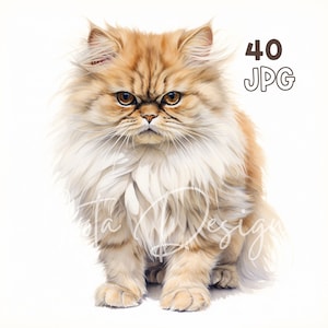 Persan Cat Clipart - 40 JPG de haute qualité - Planificateur numérique, Junk Journaling, Aquarelle, Utilisation commerciale, Téléchargement numérique, Tasses, Vêtements