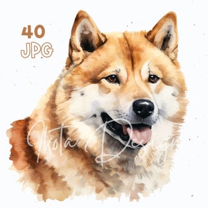 Akita Inu Clipart - 40 JPG de haute qualité - Planificateur numérique, Junk Journaling, Aquarelle, Art mural, Utilisation commerciale, Téléchargement numérique, Tasses