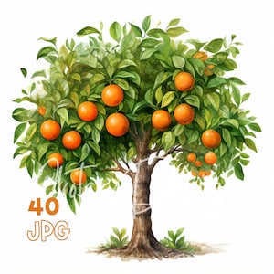 Orange Tree Clipart - 40 JPG di alta qualità - Pianificatore digitale, Junk Journaling, Acquerello, Uso commerciale, Download digitale, Abbigliamento, Tazze