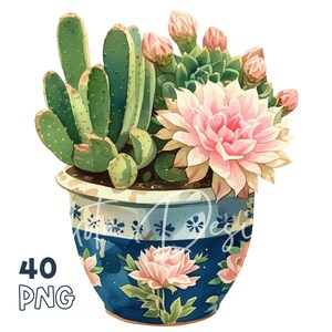 Cactus in pot watercolor clipart bundle, desert succulent illustrations for planner sticker sheets, nursery wall prints, garden label design