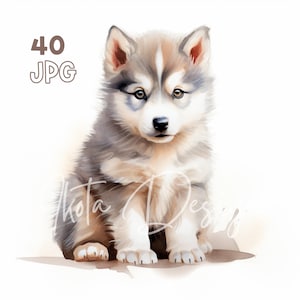 Pacchetto di clipart acquerellate di cuccioli di Alaskan Malamute, arte digitale di cani da slitta per il diario personale, adesivi per pianificatori di animali domestici, set per stampa a sublimazione su tazze