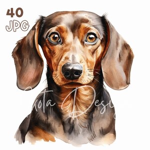 ダックスフントのクリップアート - 40 枚の高品質 JPG - デジタル プランナー、ジャンク ジャーナリング、水彩画、ウォール アート、商用利用、デジタル ダウンロード、マグカップ