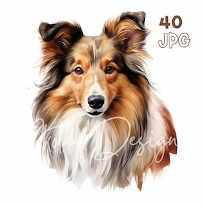 Shetland Sheepdog Clipart - 40 hochwertige JPGs - Digitaler Planer, Junk Journaling, Aquarell, Wandkunst, kommerzielle Nutzung, digital, Tassen