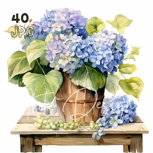 Bucket of Hydrangea Clipart - 40 High Quality JPG - Digital Planner, Junk Journaling, Watercolor, Wall Art, Commercial Use, Digital Download