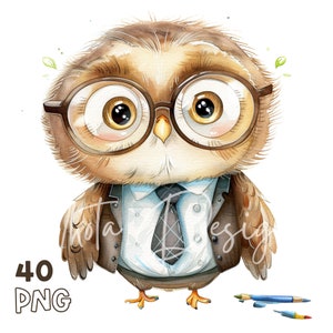 School Owl Clipart - 40 PNG di alta qualità - Pianificatore digitale, Junk Journaling, Acquerello, Arte della parete, Uso commerciale, Download digitale, Tazze