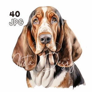 バセットハウンドのクリップアート - 40 枚の高品質 JPG - デジタル プランナー、ジャンク ジャーナリング、水彩画、ウォール アート、商用利用、デジタル ダウンロード、マグカップ