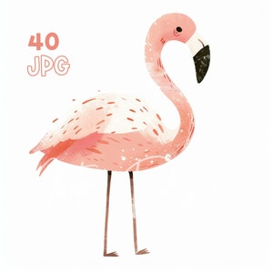 Flamingo Clipart - 40 JPG de haute qualité - Planificateur numérique, Junk Journaling, Aquarelle, Utilisation commerciale, Téléchargement numérique, Tasses, Vêtements