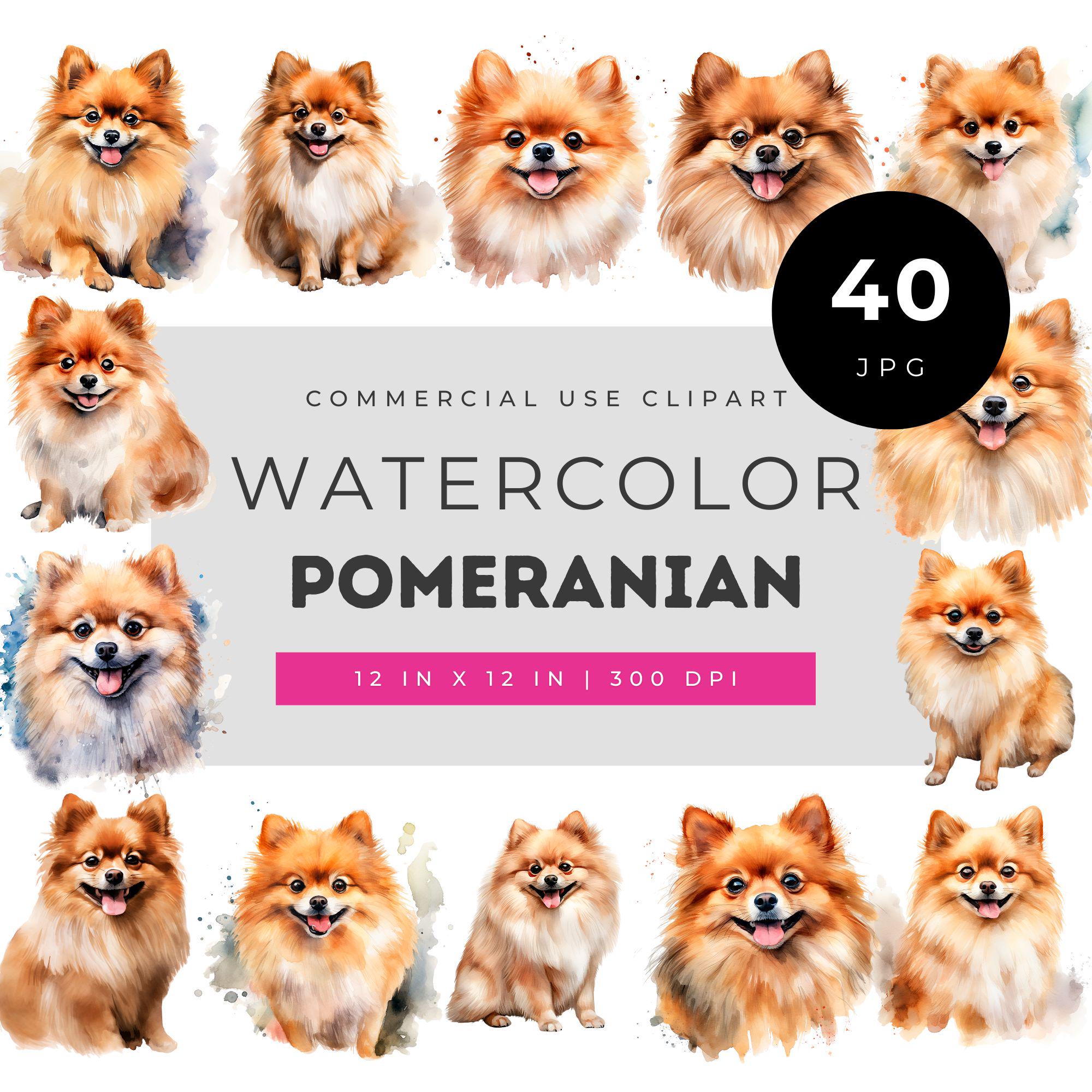 狼林（ROURIN）作　犬（ポメラニアン）の水彩画 2008年 水彩画のポメラニアン クリップアート JPG バンドル、ふわふわの
