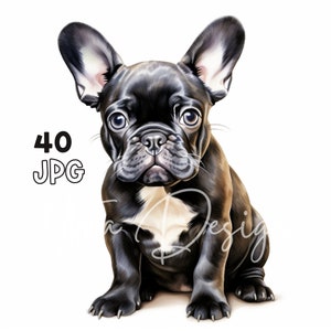 Franse Bulldog Puppy Clipart - 40 hoge kwaliteit JPG's - Digitale Planner, Junk Journaling, Aquarel, Commercieel Gebruik, Digitale Download, Mokken