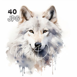 Arctic Wolf Clipart - 40 hoge kwaliteit JPG's - Digitale Planner, Junk Journaling, Aquarel, Muurkunst, Commercieel Gebruik, Digitale Download, Mokken