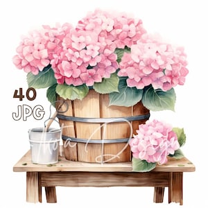 Secchio di clipart ortensia rosa - 40 JPG di alta qualità - pianificatore digitale, junk journaling, acquerello, arte della parete, uso commerciale, tazze