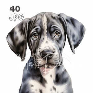 Clipart de filhote de cachorro Great Dane - 40 JPGs de alta qualidade - planejador digital, registro de lixo eletrônico, aquarela, arte de parede, uso comercial, canecas, vestuário