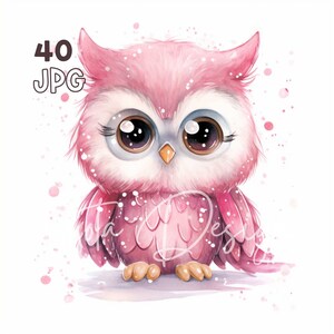 Pink Arctic Owl Clipart - 40 hoge kwaliteit JPG's - Digitale Planner, Junk Journaling, Aquarel, Commercieel Gebruik, Digitale Download