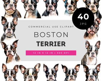 Boston terrier clipart, watercolor Boston terrier illustration, dog breed watercolor art, Boston terrier puppy clipart, cute dog portrait