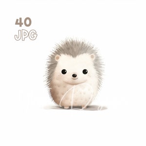 Baby Hedgehog Clipart - 40 JPG de haute qualité - Planificateur numérique, Junk Journaling, Minimaliste, Wall Art, Utilisation commerciale, Téléchargement numérique