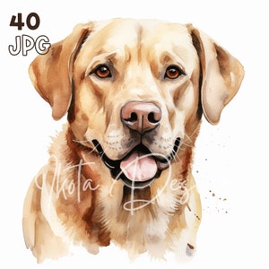 Labrador Retriever Clipart - 40 hochwertige JPGs - Digitaler Planer, Junk Journaling, Aquarell, Wandkunst, kommerzielle Nutzung, digitaler Download