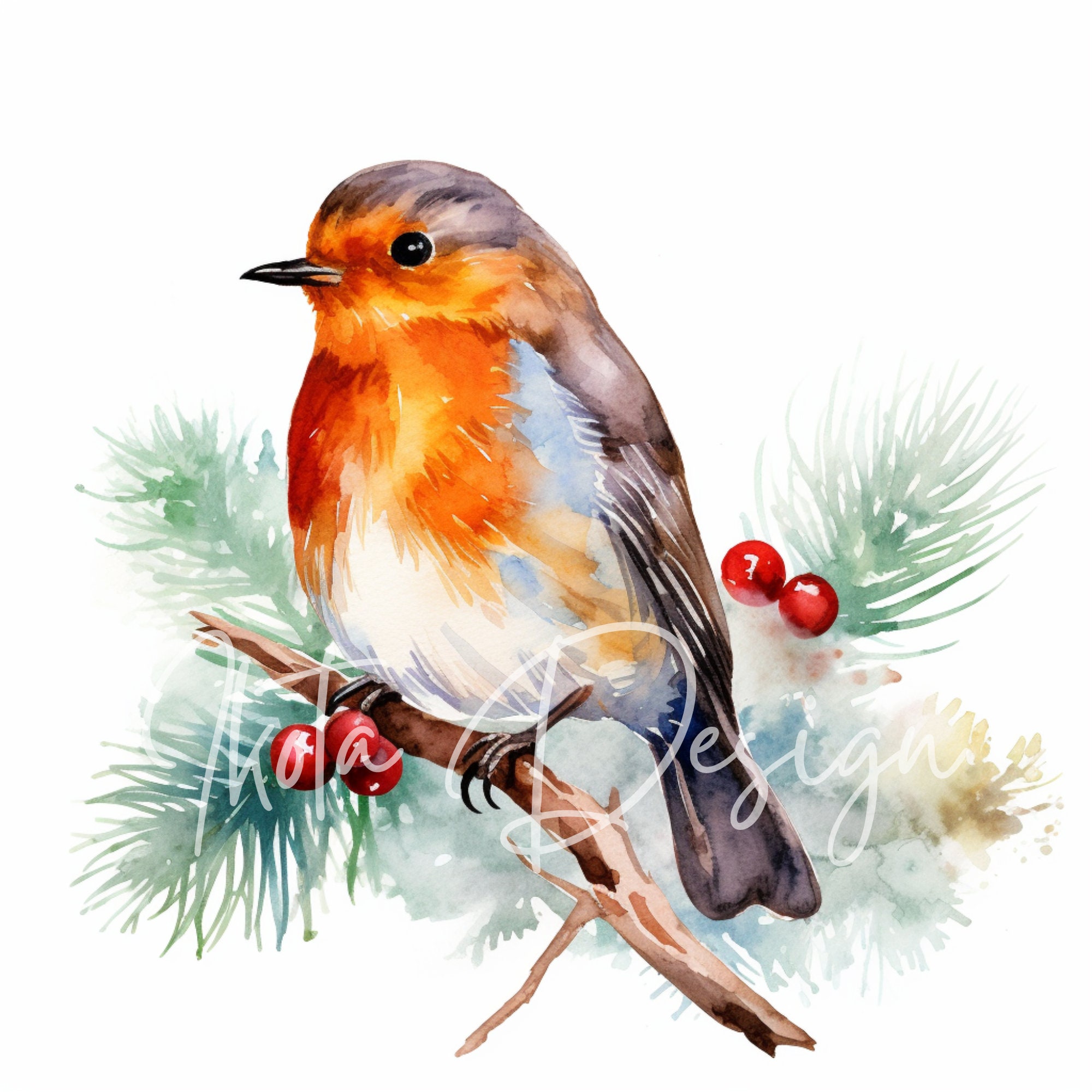 Christmas Robin Clipart, Watercolor Winter Birds on Holly Branches With ...