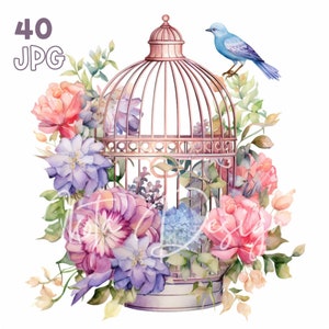 Floral Birdcage Clipart - 40 JPG de haute qualité - Planificateur numérique, Junk Journaling, Aquarelle, Wall Art, Utilisation commerciale, Téléchargement numérique