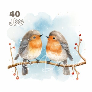 Two Winter Robins Clipart - 40 High Quality JPGs - Digital Planner, Junk Journaling, Watercolor, Wall Art, Commercial Use, Mugs, Apparel