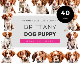 Aquarel clipart van een Brittany Spaniel puppy (JPG), illustraties van een Brittany Spaniel puppy voor cadeaus voor dierenliefhebbers, sublimatie- en printbare knutselprojecten.