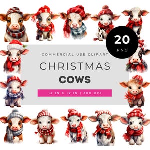 Christmas cow clipart, cute winter calf PNG set, festive farm animal art, cozy holiday barn illustration, red scarf baby cow graphics