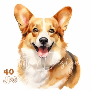 Corgi Clipart - 40 hochwertige JPGs - Digitaler Planer, Junk Journaling, Aquarell, kommerzielle Nutzung, digitaler Download, Tassen, Bekleidung