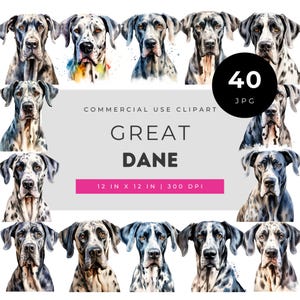 Great Dane Clipart, Realistic Harlequin Dog Illustration, Large Breed Puppy Art, Sublimation Design File, Printable Wall Decor