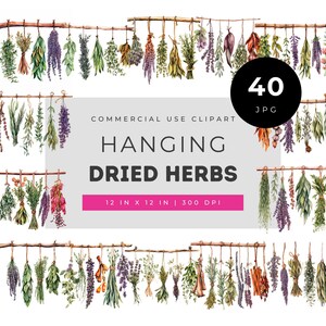 Hanging dried herbs watercolor clipart set, rustic kitchen botanical illustrations, farmhouse herb bundle art for planners and crafts