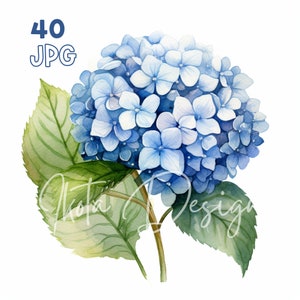 Hortensia Clipart - 40 JPG de haute qualité - Planificateur numérique, Junk Journaling, Aquarelle, Art mural, Utilisation commerciale, Téléchargement numérique