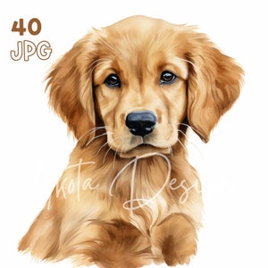 Golden Retriever Puppy Clipart - 40 JPG di alta qualità - Pianificatore digitale, Junk Journaling, Acquerello, Uso commerciale, Download digitale, Tazze
