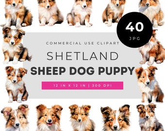 シェットランド・シープドッグの子犬のクリップアートJPG、シェルティ