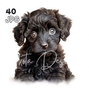 Black Poodle Puppy Clipart - 40 JPG de haute qualité - Planificateur numérique, Junk Journaling, Aquarelle, Wall Art, Utilisation commerciale, Téléchargement numérique