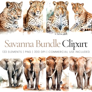 Savannentiere Bundle, Aquarell Savannentiere, Savannentiere ClipArt, Tiere ClipArt, kommerzielle Nutzung, Sofortiger Download, PNG