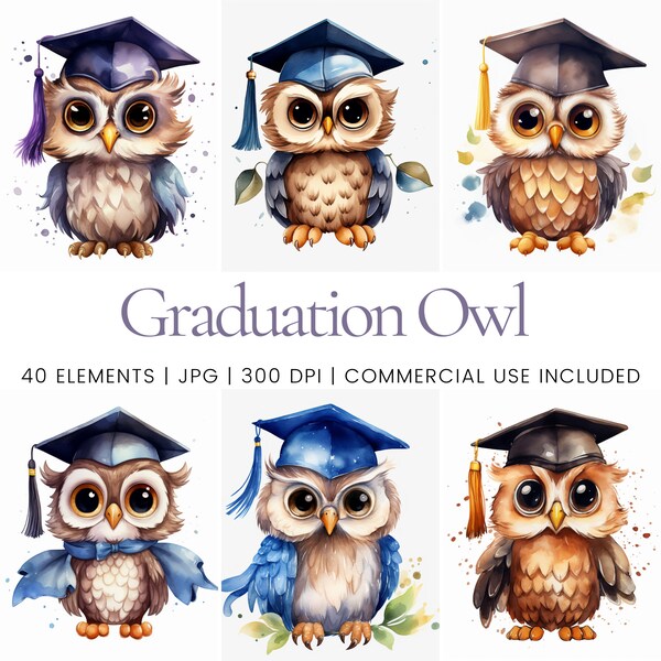 Graduation Owl Clipart - 40 High Quality JPGs - Digital Planner, Junk Journaling, Watercolor, Wall Art, Commercial Use, Digital Download